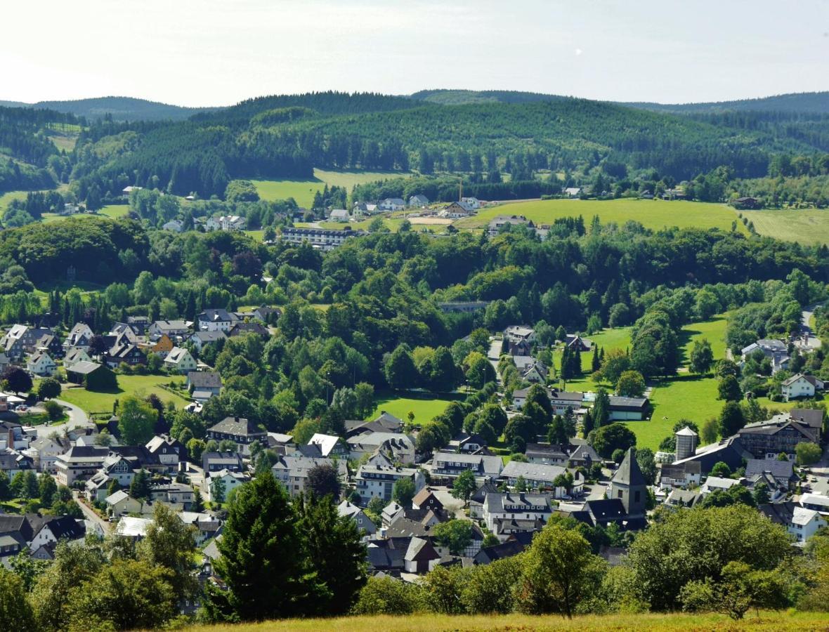 Fewo Blumes Bergfrieden Mit Meinecardplus Willingen  Ngoại thất bức ảnh