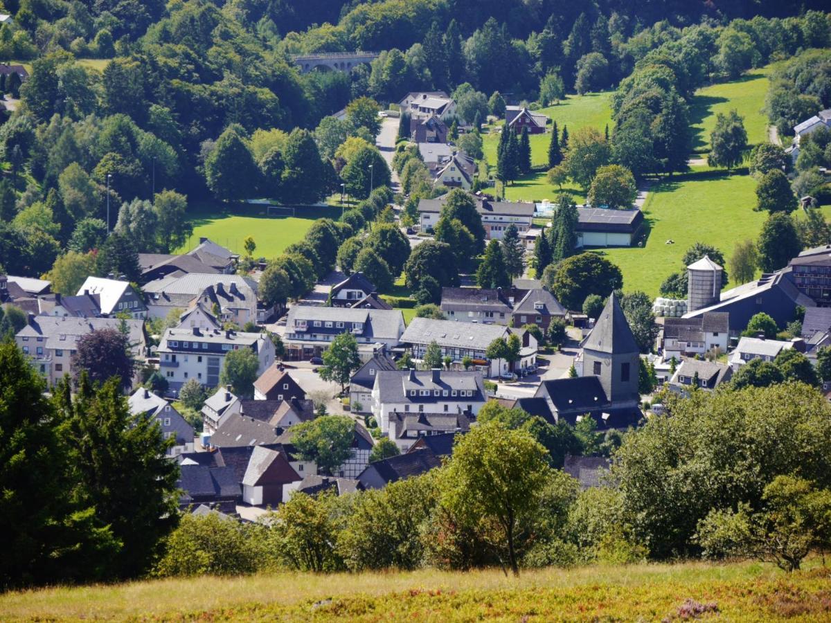 Fewo Blumes Bergfrieden Mit Meinecardplus Willingen  Ngoại thất bức ảnh